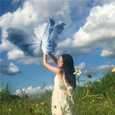 乱世书香